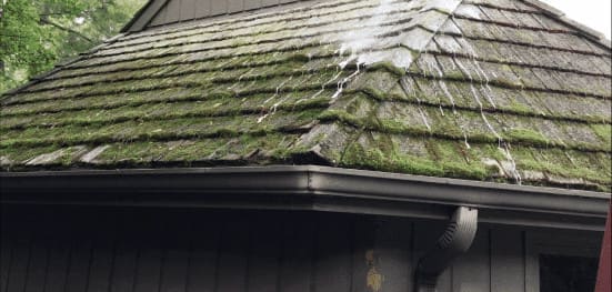 Washing Moss off Cedar Shake Roof